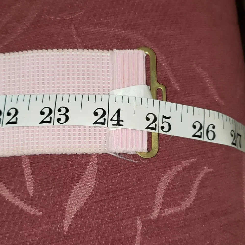 Goodheart Light Pink & Goldtone Stretchy Belt